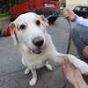 лучшие фото manyazzzz лучшие фото manyazzzz