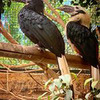фотография dashasnyman фотография dashasnyman