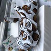 реклама на блоге dodosha_mom реклама на блоге dodosha_mom