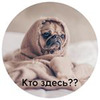 новое фото Алла Зарипова новое фото Алла Зарипова