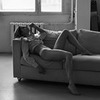 заказать рекламу у блогера katrin_catalini заказать рекламу у блогера katrin_catalini