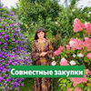 фото на странице zacvetet фото на странице zacvetet