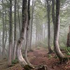 реклама на блоге Максим Титарев реклама на блоге Максим Титарев