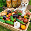 лучшие фото Ирина Кузнецова лучшие фото Ирина Кузнецова