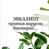 новое фото Екатерина Нефельд новое фото Екатерина Нефельд