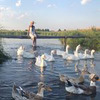 заказать рекламу у блогера Виктория Смирнова заказать рекламу у блогера Виктория Смирнова