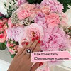 фотография Анастасия Май фотография Анастасия Май
