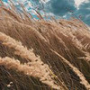 лучшие фото Евгений Фист лучшие фото Евгений Фист