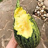 лучшие фото vegdaria лучшие фото vegdaria