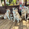 реклама у блогера lena_kartss реклама у блогера lena_kartss