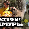 разместить рекламу в блоге Point On The Map разместить рекламу в блоге Point On The Map