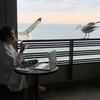 разместить рекламу в блоге Дарья Леушина разместить рекламу в блоге Дарья Леушина