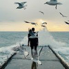 реклама на блоге Владимир Кутенков реклама на блоге Владимир Кутенков