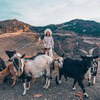фотография Ольга Куликова фотография Ольга Куликова
