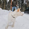 фотография Михаил Full.chaos фотография Михаил Full.chaos