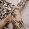 заказать рекламу у блогера Колючка заказать рекламу у блогера Колючка