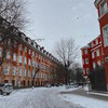 лучшие фото Колючка лучшие фото Колючка