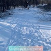 реклама в блоге Диана Принцесса дивана реклама в блоге Диана Принцесса дивана