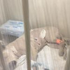 реклама на блоге Катя Кляйн реклама на блоге Катя Кляйн