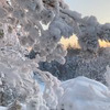 разместить рекламу в блоге Юлия Лобашева разместить рекламу в блоге Юлия Лобашева