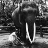 лучшие фото Алеся Кафельникова лучшие фото Алеся Кафельникова
