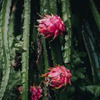 фотография Макс Листов фотография Макс Листов