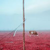 фотография Даниил Конторович фотография Даниил Конторович