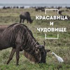 фотография Сергей Доля фотография Сергей Доля