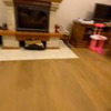 заказать рекламу у блогера Яна Счастье заказать рекламу у блогера Яна Счастье
