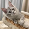 реклама на блоге Ксения Бородина реклама на блоге Ксения Бородина