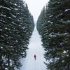 фотография Вадим Махоров фотография Вадим Махоров