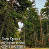 реклама в блоге Саша krim_na_ladoni реклама в блоге Саша krim_na_ladoni