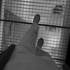 фотография Рафаэль Сидоров фотография Рафаэль Сидоров