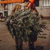 реклама на блоге Катя Ратундалова реклама на блоге Катя Ратундалова