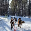 фото на странице Татьяна Охулкова фото на странице Татьяна Охулкова