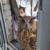 реклама у блогера Ника Зубра реклама у блогера Ника Зубра