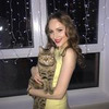 реклама в блоге Влада Барсукова реклама в блоге Влада Барсукова