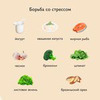разместить рекламу в блоге gethealth разместить рекламу в блоге gethealth