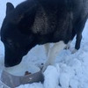 фото на странице Елена Муртазаева фото на странице Елена Муртазаева