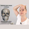 реклама у блогера Екатерина Брагина реклама у блогера Екатерина Брагина