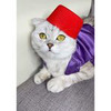 реклама у блогера Sonya Cat реклама у блогера Sonya Cat