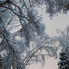 разместить рекламу в блоге Слава Степахин разместить рекламу в блоге Слава Степахин