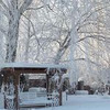 реклама на блоге Людмила Астафьева реклама на блоге Людмила Астафьева