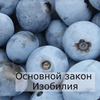 реклама в блоге Юлия Леночкина реклама в блоге Юлия Леночкина