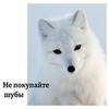 реклама у блогера Юлия Леночкина реклама у блогера Юлия Леночкина