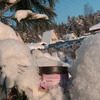 заказать рекламу у блогера avealiice заказать рекламу у блогера avealiice