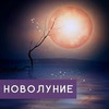 заказать рекламу у блогера Ольга Мазур заказать рекламу у блогера Ольга Мазур