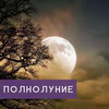 реклама на блоге Ольга Мазур реклама на блоге Ольга Мазур