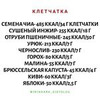 реклама на блоге Ирина Арк реклама на блоге Ирина Арк