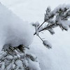 лучшие фото dr_khrebtova лучшие фото dr_khrebtova